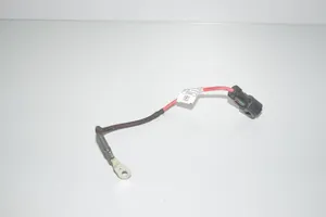 BMW 1 F40 Pliusinis laidas (akumuliatoriaus) 8589051