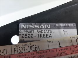Nissan Juke I F15 Sivujäähdyttimen tuen suojapaneeli F25221KEEA