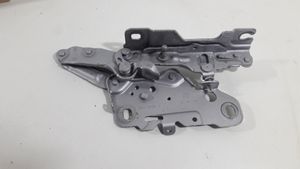 BMW X3 G01 Cerniere del vano motore/cofano 7397499