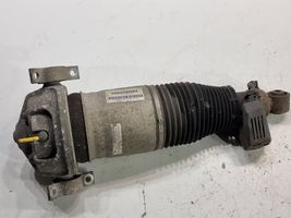 Porsche Cayenne (9PA) Ammortizzatore posteriore a sospensione pneumatica 7L5512022G