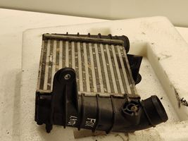 Volkswagen Fox Chłodnica powietrza doładowującego / Intercooler 862403N