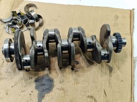 Volkswagen PASSAT B8 Crankshaft 04L105263D