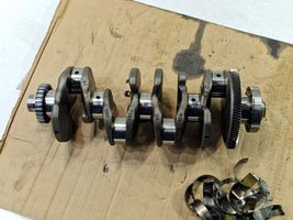 Volkswagen PASSAT B8 Crankshaft 04L105263D