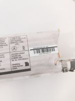 Mercedes-Benz SLK R172 Poduszka powietrzna Airbag drzwi przednich 306893810AC