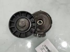 Citroen C5 Tendicinghia generatore/alternatore 