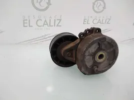 Peugeot 406 Napinacz paska alternatora 