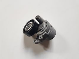 Nissan Rogue Napinacz paska alternatora 119554BA0A