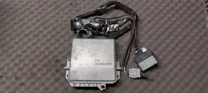 Rover 620 Juego de cerradura y set ECU del motor 0281001419