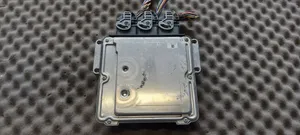 Peugeot 4007 Sterownik / Moduł ECU 9664487580