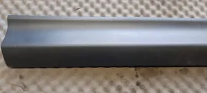 Toyota RAV 4 (XA40) Front door trim (molding) 7507342010