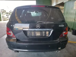 Mercedes-Benz R W251 Takaluukun/tavaratilan kansi 159650