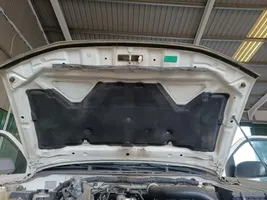 Nissan Navara Couvercle, capot moteur 