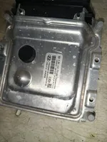 Hyundai i20 (GB IB) Sterownik / Moduł ECU 391F203GA0