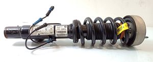 BMW X6 F16 Front shock absorber with coil spring 021311