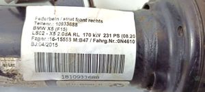 BMW X6 F16 Front shock absorber with coil spring 021311