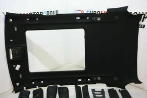 BMW X5 E70 Headlining K00711