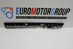 BMW 7 F01 F02 F03 F04 Altro elemento di rivestimento della portiera anteriore 003654