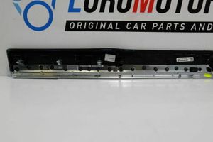 BMW 7 F01 F02 F03 F04 Altro elemento di rivestimento della portiera anteriore 003654