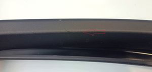 BMW X6 F16 Front door glass trim molding 024792