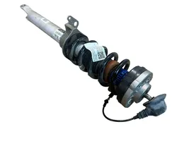 BMW M6 Front shock absorber with coil spring 2284668