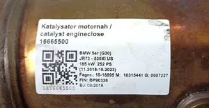 BMW 5 G30 G31 Filtro antiparticolato catalizzatore/FAP/DPF 028849