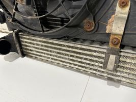 Ford Galaxy Set del radiatore 7M3820411
