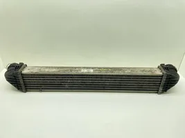 Mercedes-Benz A W169 Radiatore intercooler A1695000000