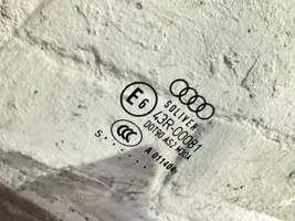 Audi A4 S4 B7 8E 8H Vetro del finestrino della portiera posteriore 