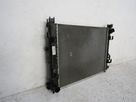 Renault Dacia Duster Kit Radiateur 214100078R