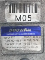 Hyundai Tucson JM Compressore aria condizionata (A/C) (pompa) 162501800J