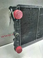 Fiat Punto (176) Radiatore di raffreddamento 