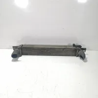 Citroen Nemo Chłodnica powietrza doładowującego / Intercooler 51790623