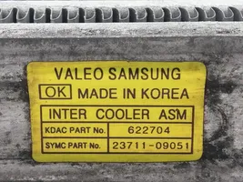 SsangYong Kyron Interkūlerio radiatorius 
