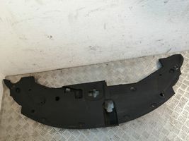 Toyota Avensis T270 Radiator trim 