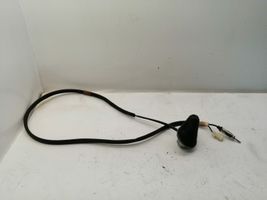 Toyota Corolla Verso AR10 Radio antena 