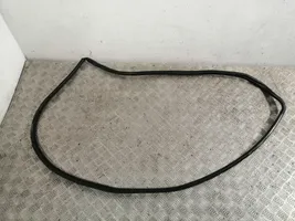 Toyota Avensis T270 Front door rubber seal 