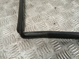 Toyota Avensis T270 Front door rubber seal 