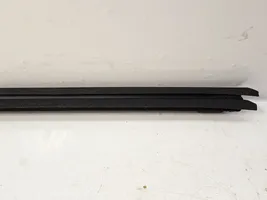 Toyota Avensis T270 Rear door glass trim molding 