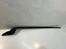 Toyota C-HR Rivestimento parabrezza 