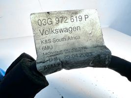 Volkswagen Golf V Wiązka przewodów silnika 03G972619