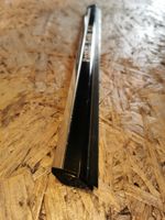 Mercedes-Benz B W245 Rear door glass trim molding A1696730683