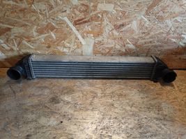 Mercedes-Benz B W245 Radiatore intercooler A1695000000