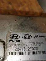 Hyundai Santa Fe EGR-venttiili/lauhdutin 284162F000