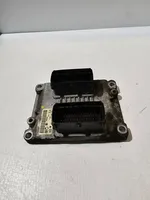 Opel Signum Sterownik / Moduł ECU 55351519