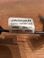 Jaguar XE Amplificatore antenna GX7318K891CA