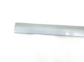 Mercedes-Benz C W203 Rivestimento portiera posteriore (modanatura) A2036902962