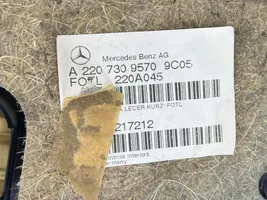 Mercedes-Benz S W220 Rear door card panel trim A2207309570