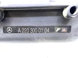 Mercedes-Benz S W220 Akseleratora pedālis A2203000104