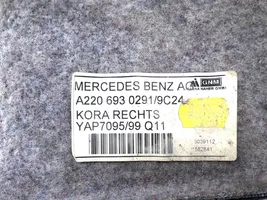 Mercedes-Benz S W220 Tavaratilan/takakontin alempi sivuverhoilu A2206930291