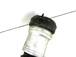 Mercedes-Benz S W220 Front air suspension shock absorber A2205404708